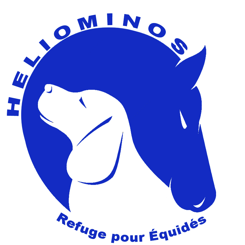 Association-Heliominos
